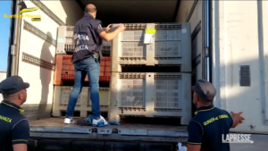 Roma: hashish nascosto tra bancali di talco e caffè all’interno di un camion, due arresti