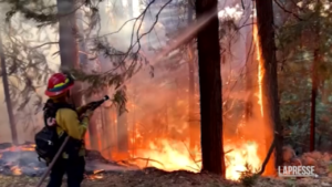 California, devastating wildfire in the Sierra Nevada