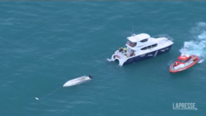 Nuova Zelanda, piccola barca urta balena: 5 morti