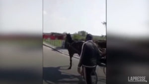 Frosinone: sgominato gruppo per spaccio, estorsione e usura: 13 arresti