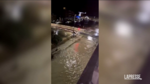 Alluvione Marche, l’esondazione del fiume Misa