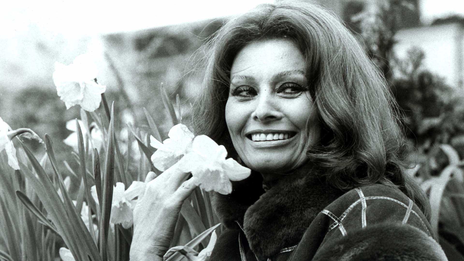 Sophia Loren compie 88 anni – FOTOGALLERY Sophia Loren compie 88 anni – FOTOGALLERY