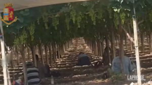 Sicilia, al lavoro nei campi per meno di 4 euro l’ora: arresti