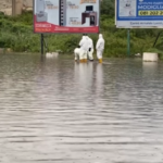 Maltempo, Napoli sott’acqua: alberi caduti e auto sommerse