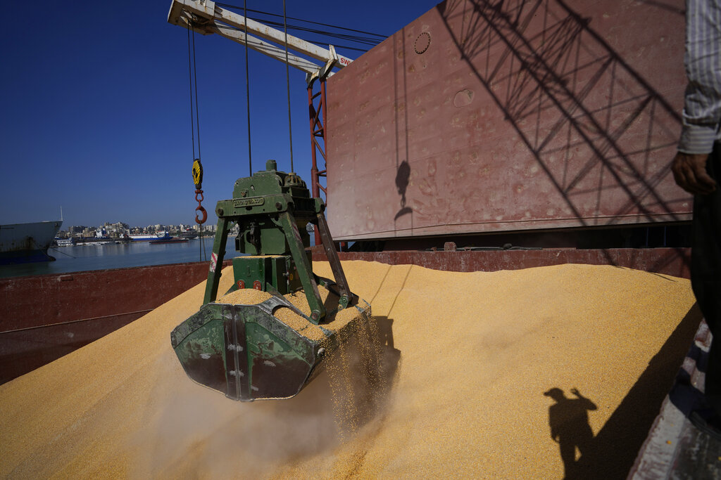 Grano, accordo Varsavia-Kiev su transito cereali
