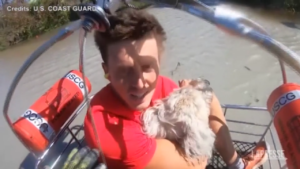 Uragano Ian, cani e gatti salvati dall’isola di Sanibel