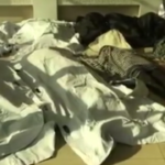 Kabul, esplosione in una scuola: le vittime in ospedale