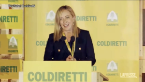 Governo, Meloni: “Se saremo chiamati, daremo risposte immediate al Paese”