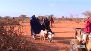 Somalia, morti e sfollati per siccità: è emergenza carestia