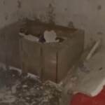 Ucraina, presunta camera di tortura russa a Pisky-Radkivski