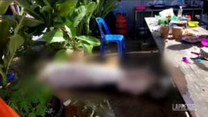 Thailandia, sparatoria in asilo: strage di bambini