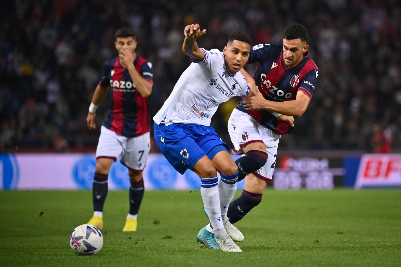 Bologna-Sampdoria 1-1, primo punto per mister Stankovic