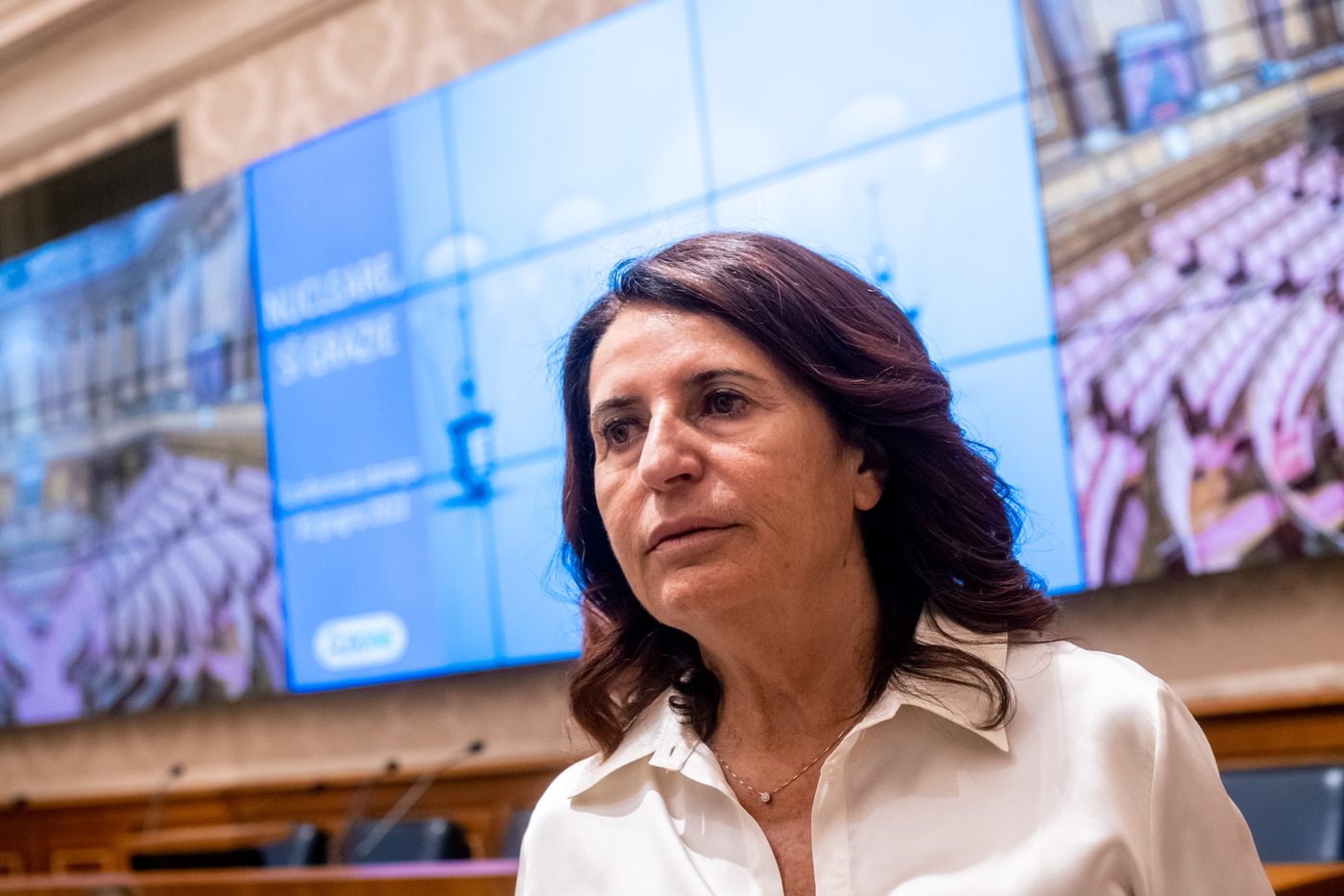 Governo, Ruffino: “Meloni parla dei suoi alleati come se fossero ostacoli” Governo, Ruffino: “Meloni parla dei suoi alleati come se fossero ostacoli”