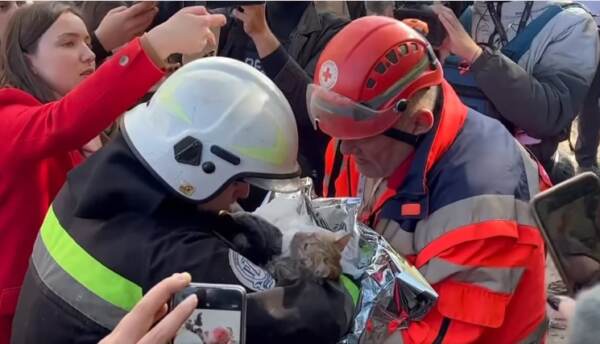 Ucraina, gattino salvato tra le macerie di Kiev