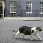 Regno Unito, evacuata Downing Street per pacco sospetto: falso allarme