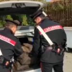 Torino, 138kg di droga in auto: arrestato 34enne