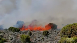 Tanzania, incendio alle pendici del Kilimangiaro
