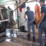 Agrigento, spaccio di droga ed estorsione, 17 misure cautelari