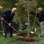 Usa, Joe e Jill Biden piantano un albero in onore del custode della Casa Bianca