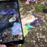 Ucraina, auto-bomba vicino sede tv a Melitopol