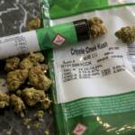 Germania, ok a piano per depenalizzare cannabis
