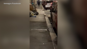 Roma, topi passeggiano in strada a pochi passi da Termini