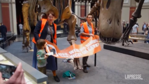 Clima, attiviste si incollano a un dinosauro al museo di Berlino