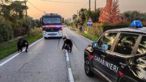 Treviso, ubriaco alla guida travolge e uccide 23enne: arrestato