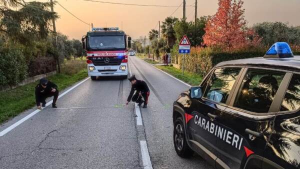 Treviso, scarcerato investitore di Miriam Ciobanu