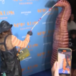 Halloween, Heidi Klum si traveste da verme gigante