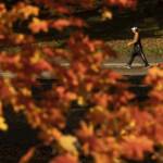 Meteo, è vero autunno