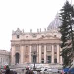 Vaticano, albero di Natale in piazza San Pietro