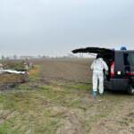 Saman Abbas, trovati dei resti umani a Novellara