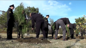 Ucraina, piantati 71 alberi per soldati uccisi