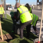 Festa dell’albero a Fiumicino, Aeroporti di Roma pianta 50 alberi