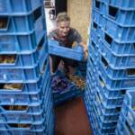 Manovra, da 35 miliardi: taglio cuneo, stop Rdc da 2024 e ‘quota’ 103