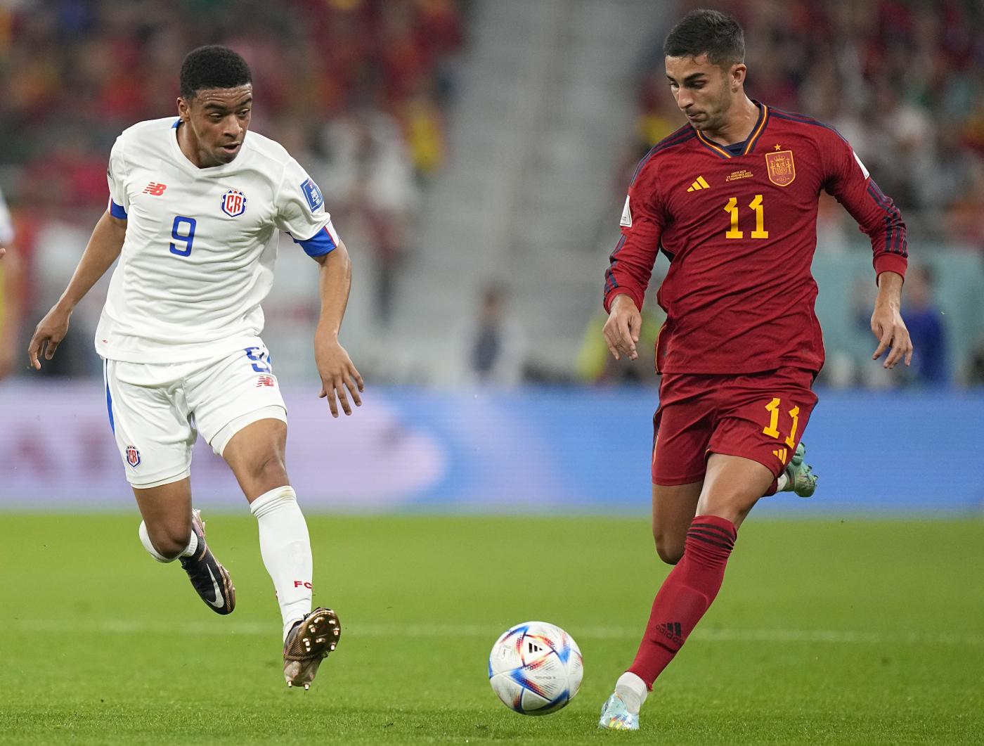 Spagna-Costarica 7-0, furia iberica in Qatar Spagna-Costarica 7-0, furia iberica in Qatar