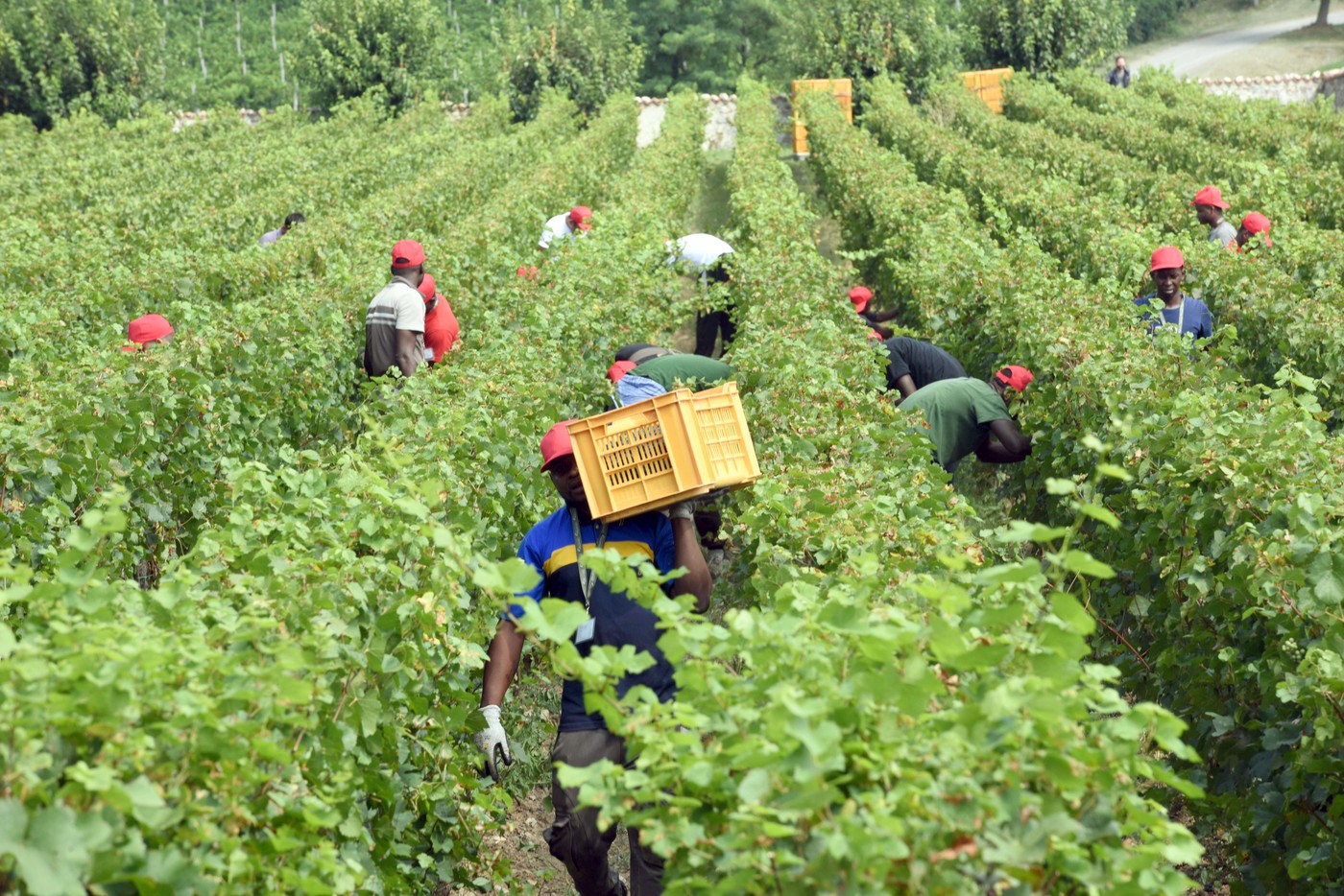Soumahoro, pm Latina: indagini su rapporti con Fisco e lavoratori