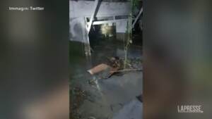 Ischia, uomo sommerso dal fango