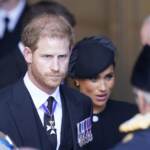 Netflix, serie su Harry e Meghan in uscita a dicembre