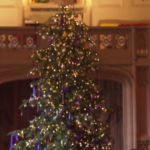 Royal family, a Windsor si accende l’albero di Natale
