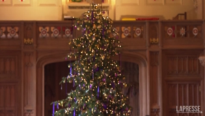 Royal family, a Windsor si accende l’albero di Natale