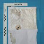 Ucraina, Kiev: “Pacchi insanguinati ambasciate, anche a Roma”