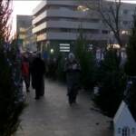 Russia, aperto il primo mercatino di alberi di Natale