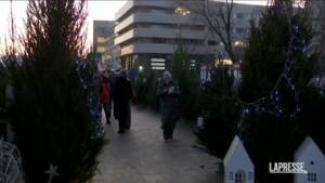 Russia, aperto il primo mercatino di alberi di Natale