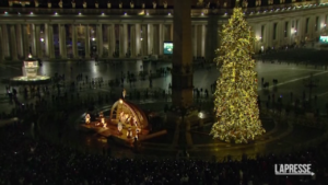 Vaticano, illuminato albero di Natale
