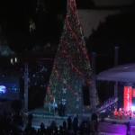 Betlemme, l’accensione dell’albero di Natale