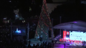 Betlemme, l’accensione dell’albero di Natale