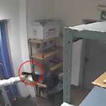 Milano, rapine a uffici postali: incastrati da videocamere