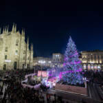 Milano, in piazza Duomo si accende l’albero fucsia
